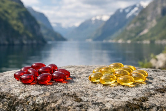 Is Krill Oil More Absorbable Than Fish Oil?