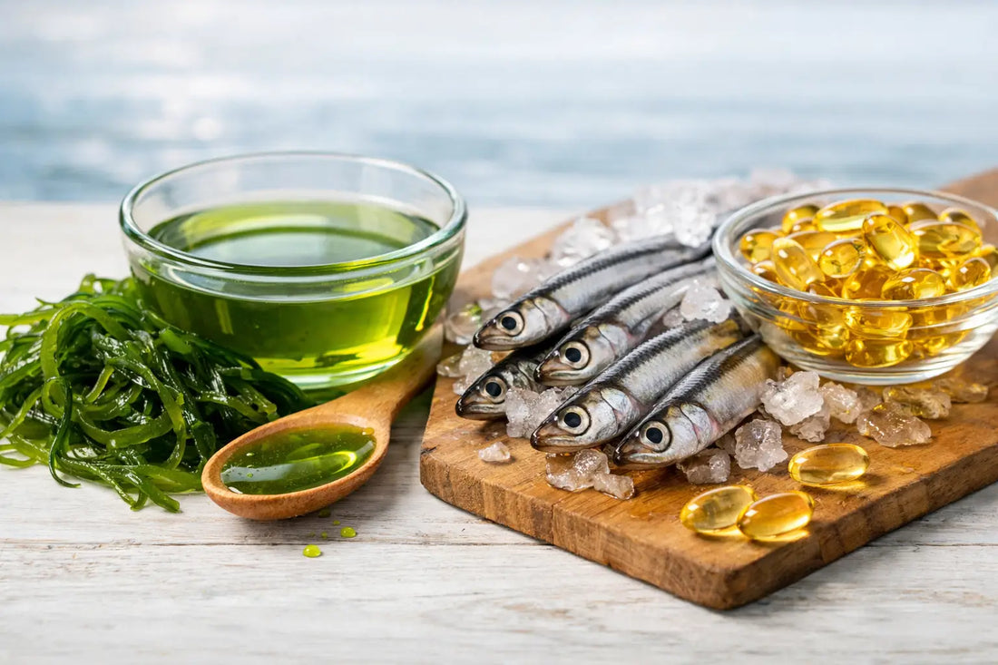 Algal Oil vs Fish Oil: Which Source Fits?