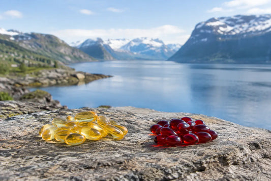 Guide to Clean-Sourced Fish Oil Standards