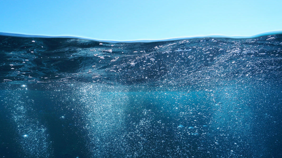 Underwater view with sunlight filtering through the water surface.
