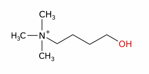 CHOLINE