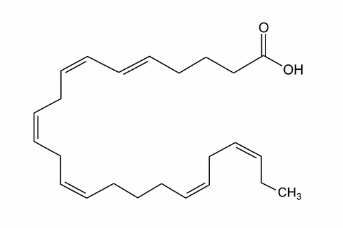 DHA – Docosahexaenoic Acid